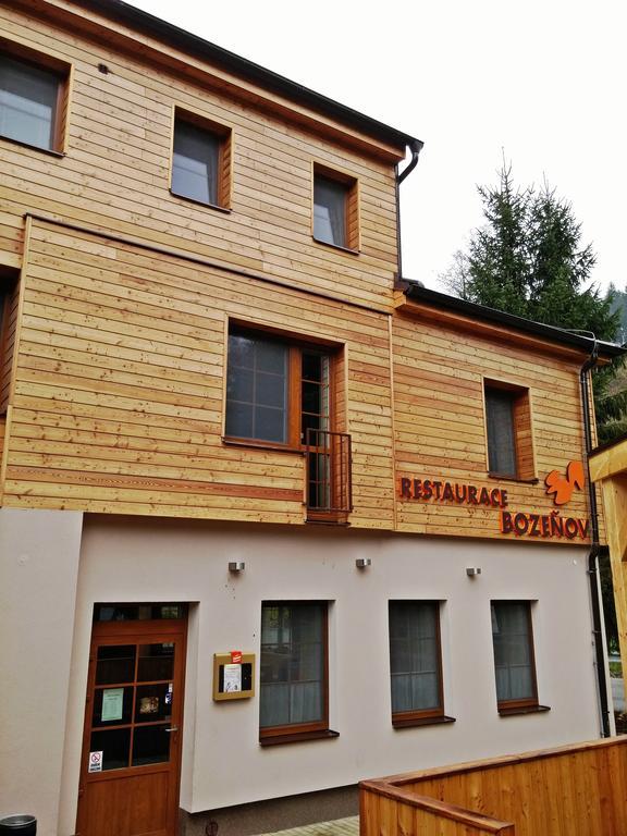 Wellness Hotel Bozenov Zabreh Exterior photo